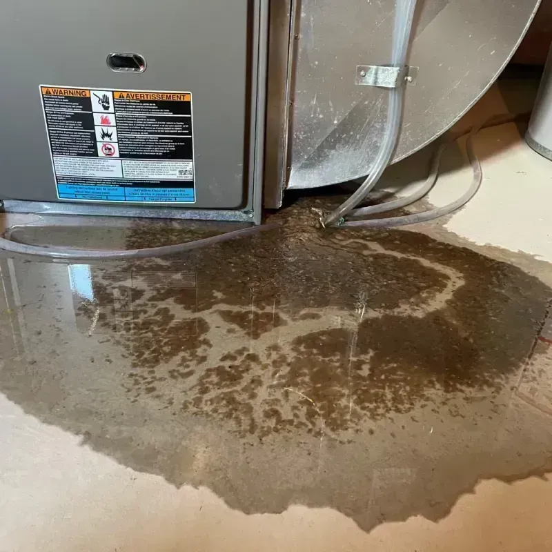 Appliance Leak Cleanup in Cambria, IL